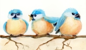 watercolor-2022-blue-birds-5x7