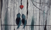 Love-Birds-Backyard