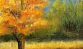 Fall-Tree-Landscape